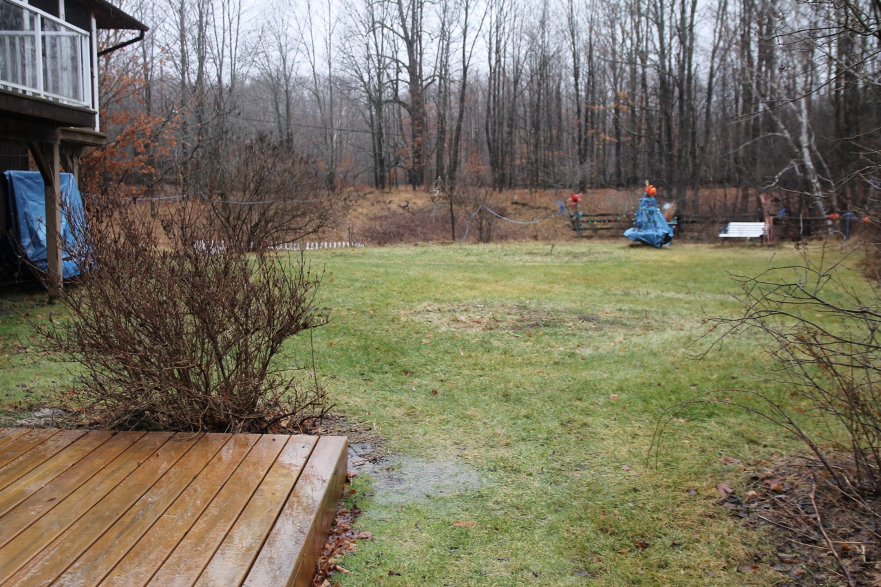Cottage Country Reflections How much rain did we get?