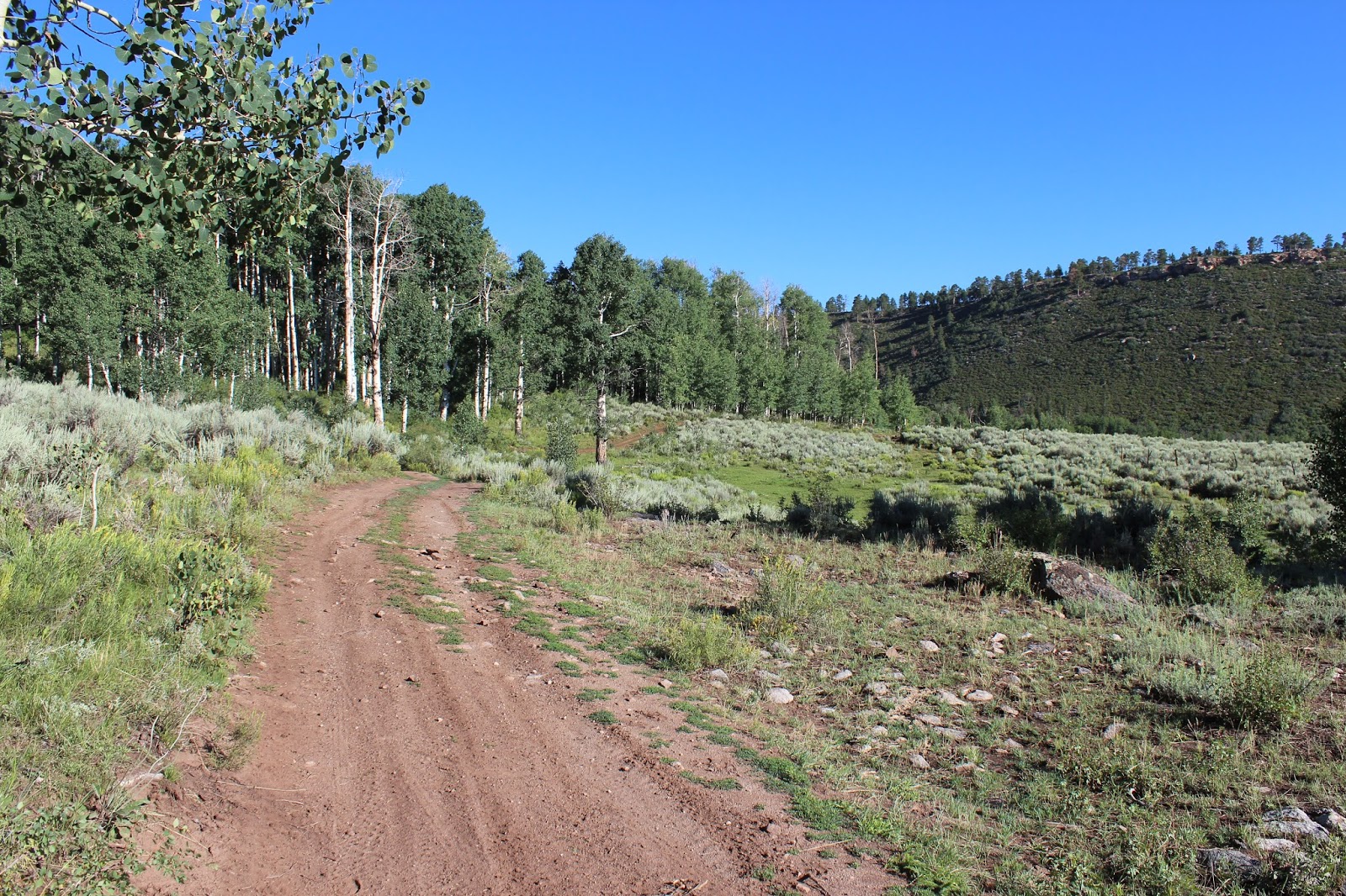 Basin Trail