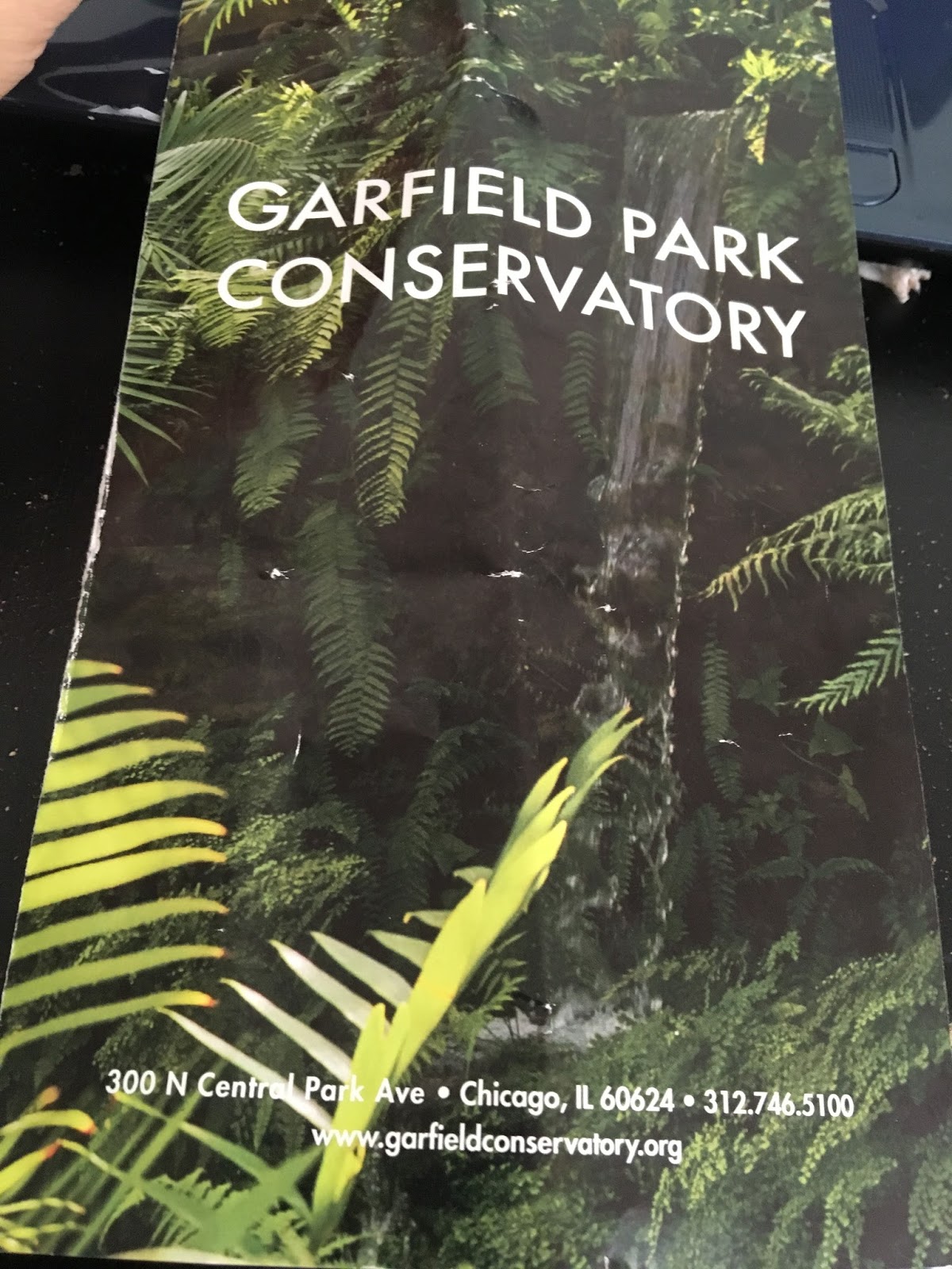 Visit to the Garfield Park Conservatory in Chicago ConservAStore