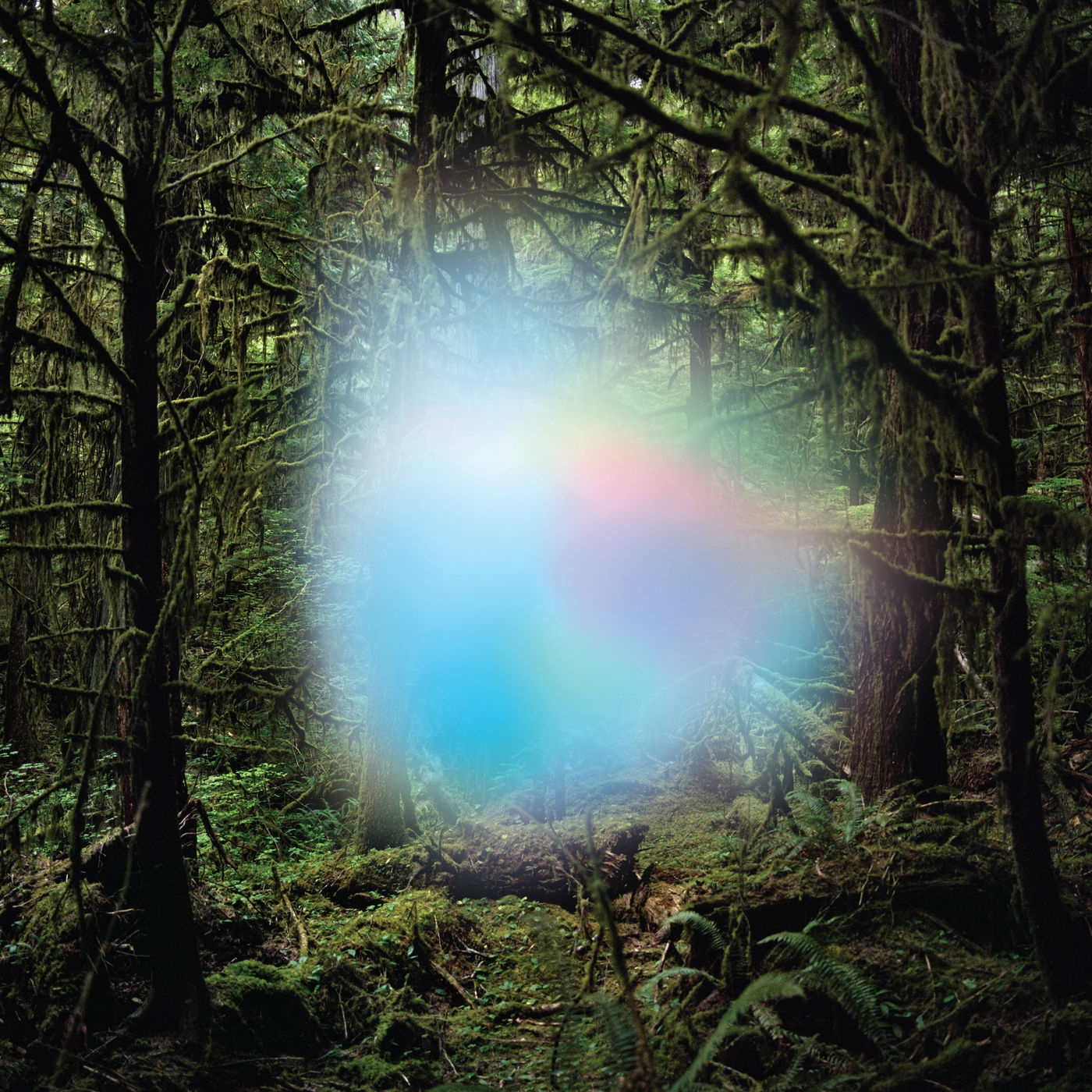 The Curtain With Ghosts of the Forest Ghosts of the Forest (2019)