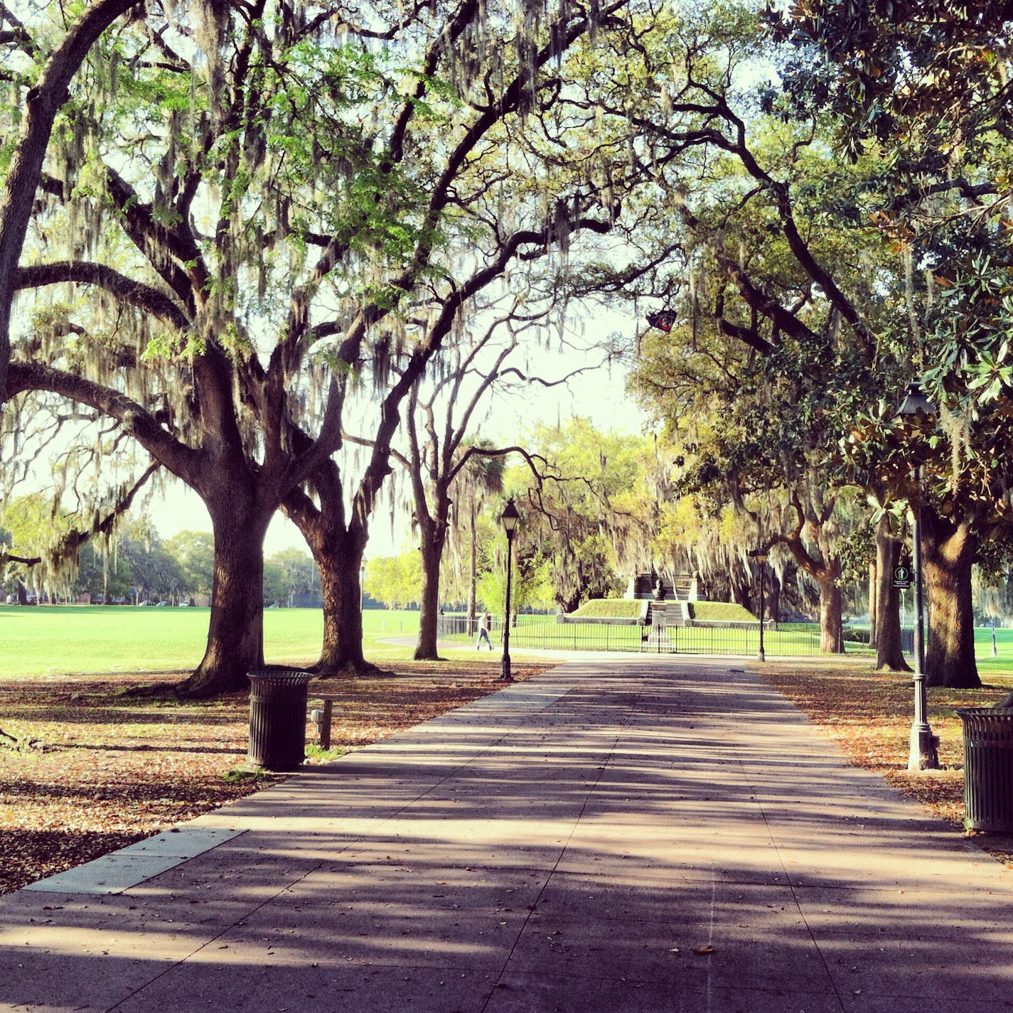 Real Estate in Savannah, Don Callahan Forsyth Park