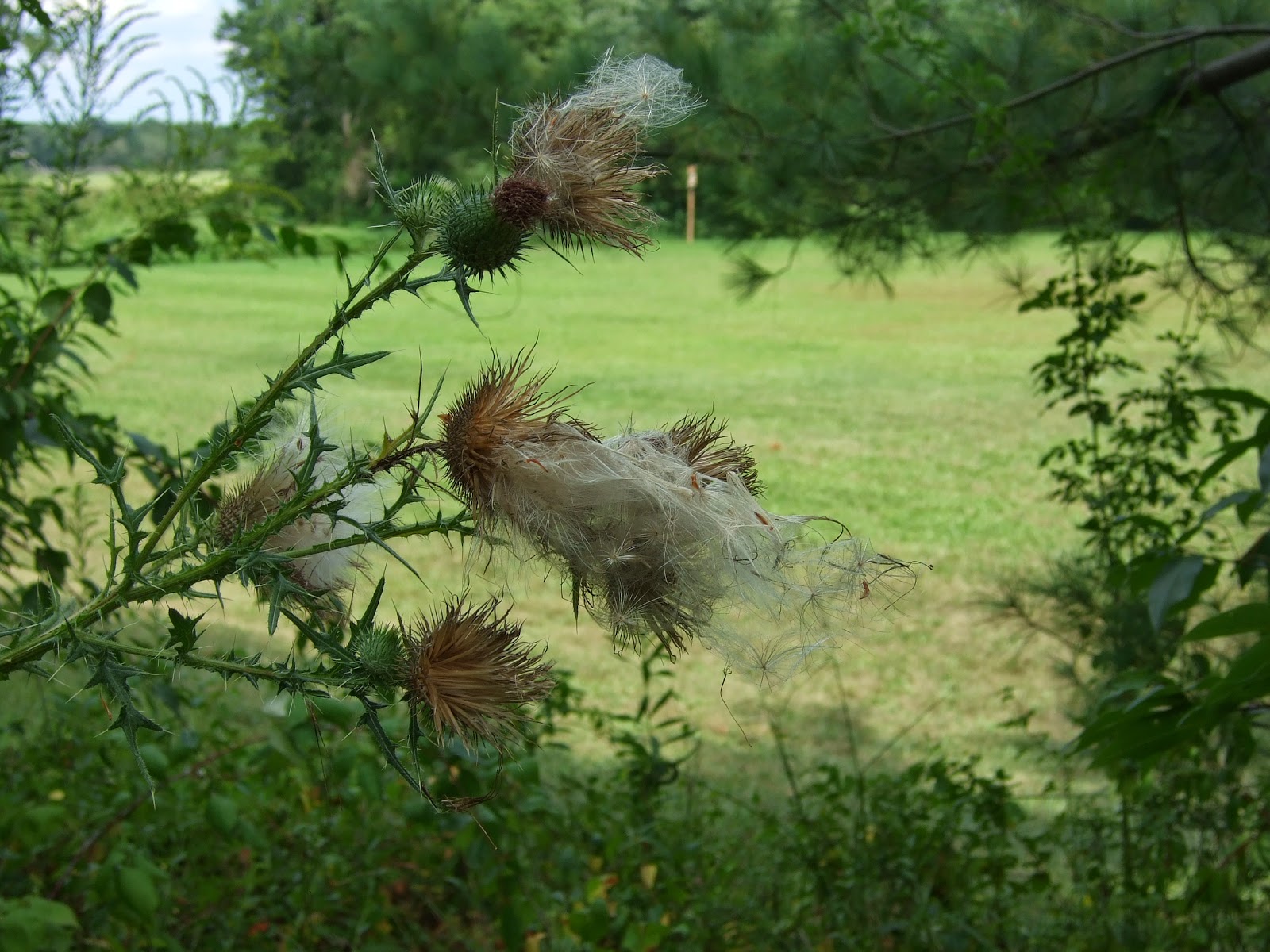 Vacation Slides Old Bridge Historic District, East Brunswick, N.J.