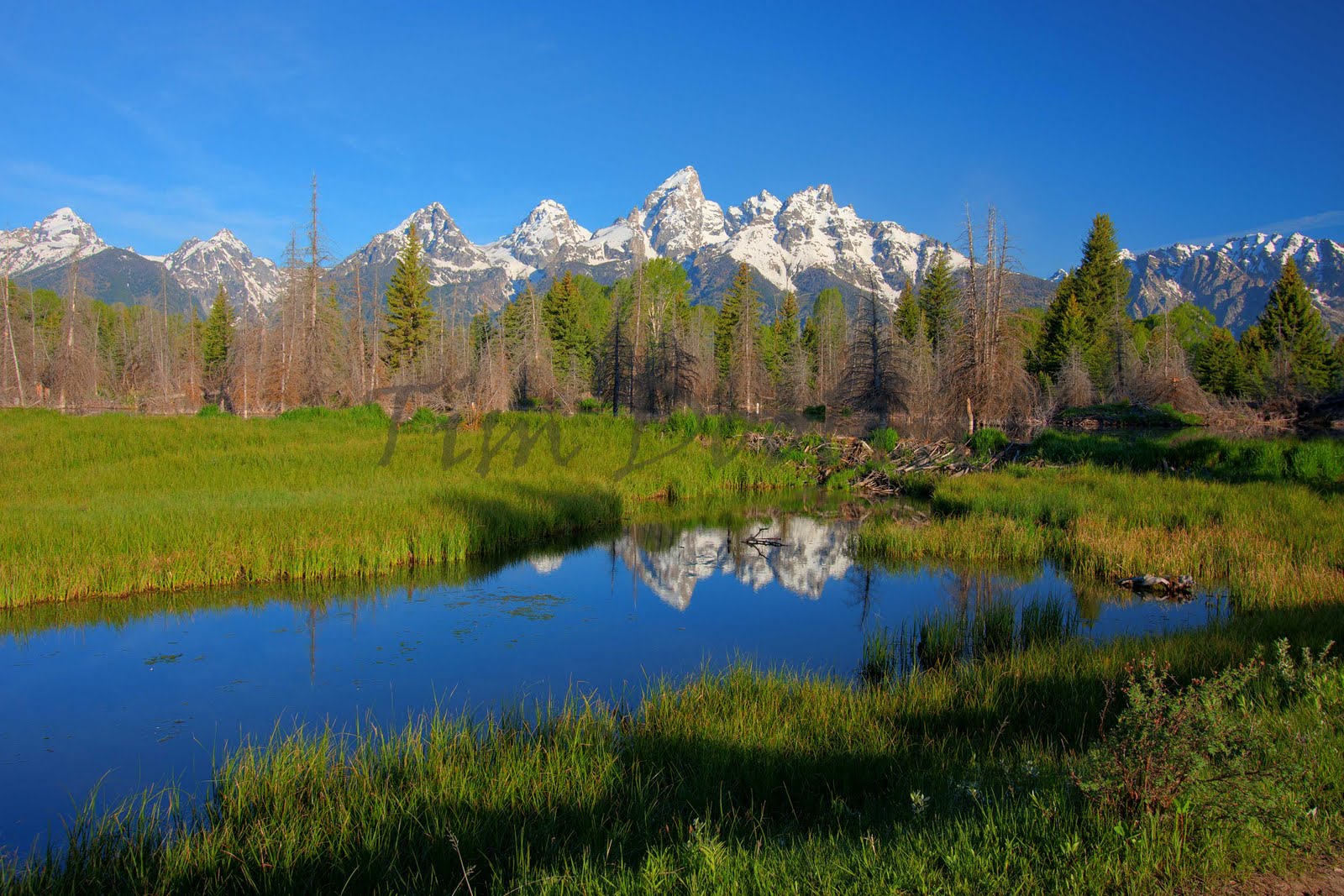 Tim Doolin Photography Grand Teton and Yellowstone National Parks
