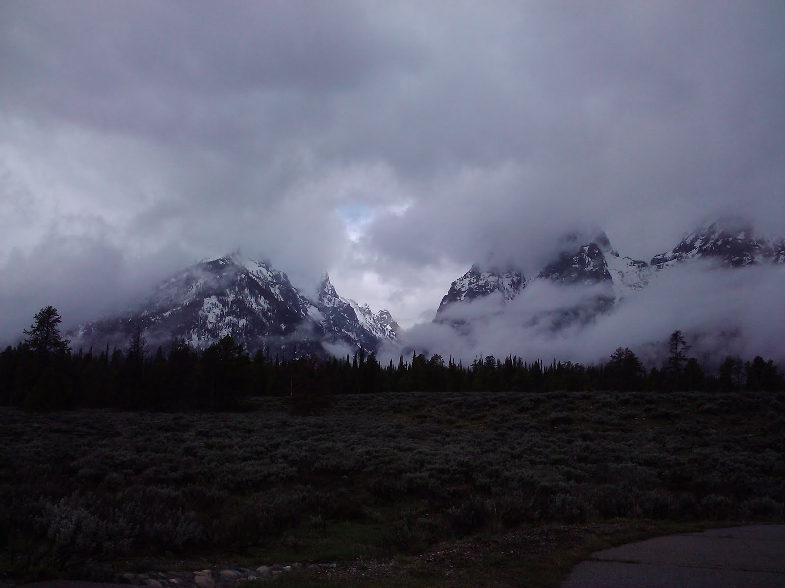 Suanne Online Grand Teton National Park in WY, June 16