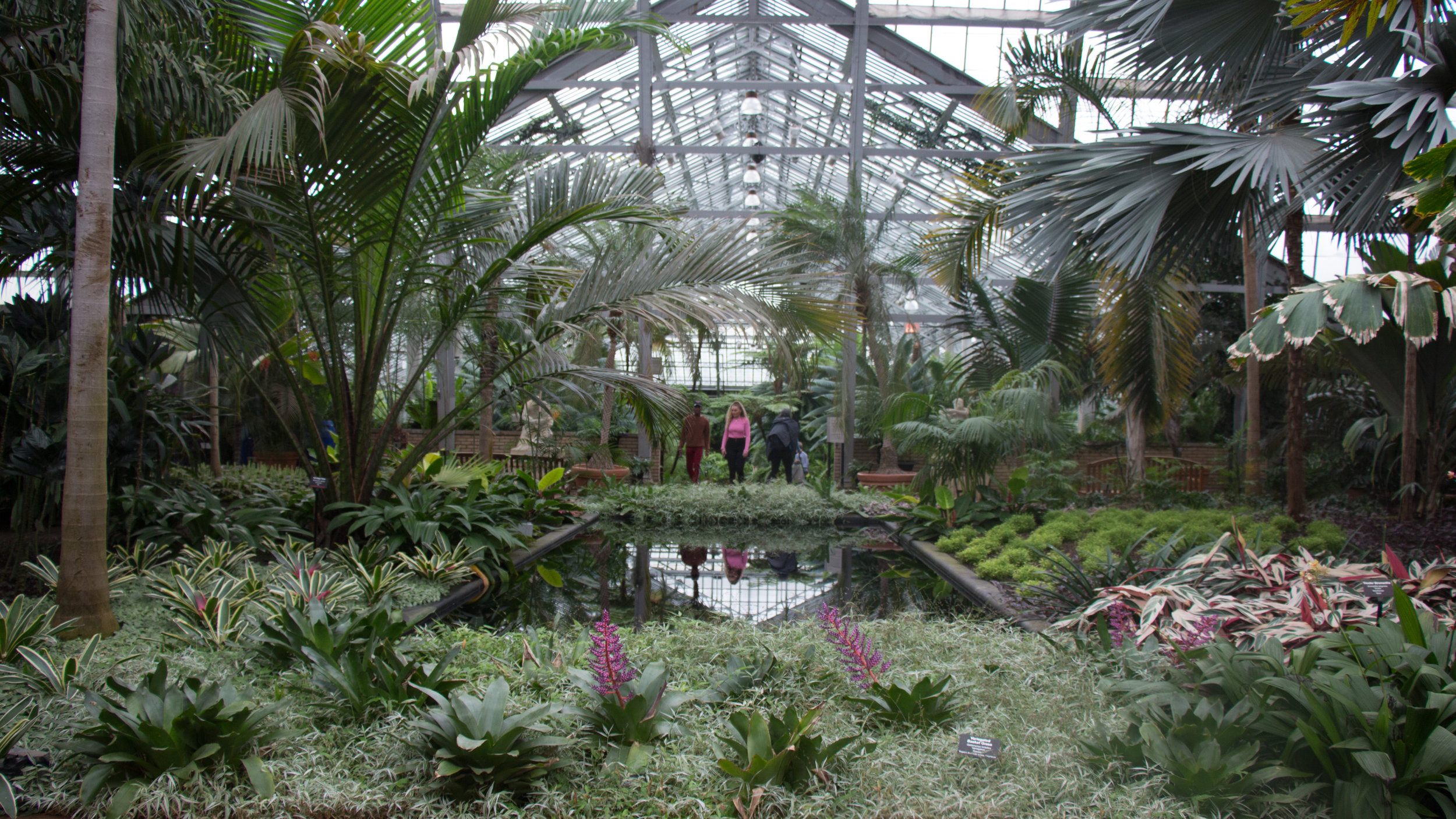 Garfield Park Conservatory breathing in fresh air and saying farewell