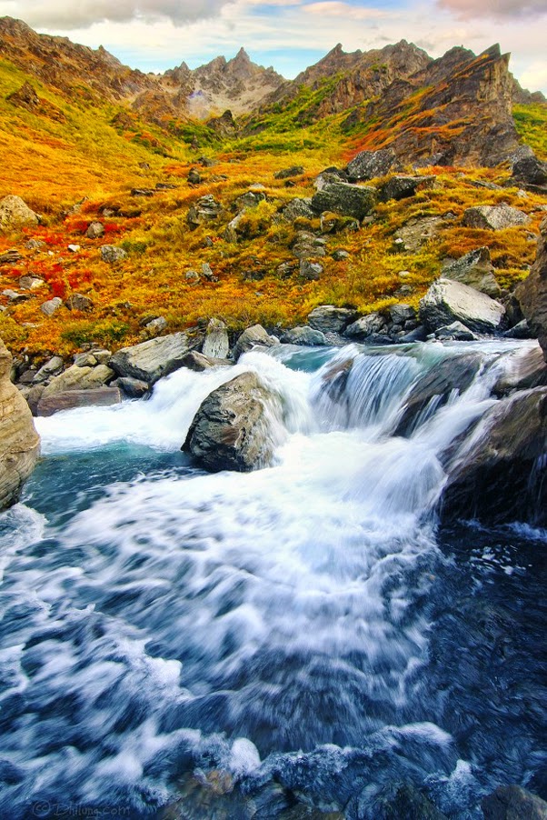 Amaze7 Savage River, Savage River Campground, Denali National Park